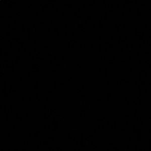 Meet your Posher, Bismah